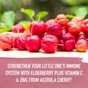 garden-of-life-organics-elderberry-zinc--5.jpg