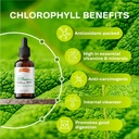 liquid-chlorophyll-drops---natural-sodiu-4.jpg