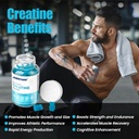 nutrabits-creatine-monohydrate-gummies-5-3.jpg