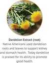 botanic-choice-dandelion-root-alcohol-fr-4.jpg