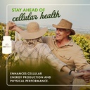 swanson-coq10-helps-promote-heart-health-2.jpg