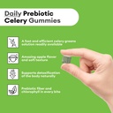 celery-juice-fiber-gummies-for-adults----3.jpg