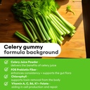celery-juice-fiber-gummies-for-adults----4.jpg