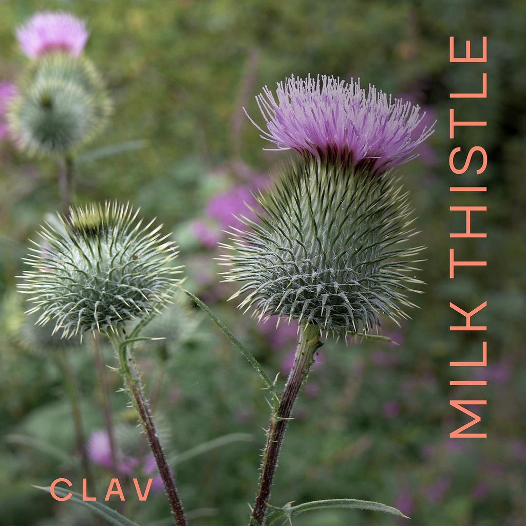 clav-organic-milk-thistle-artichoke-extr-2.jpg