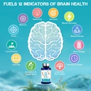 brain-supplements-for-memory-and-focus-2-3.jpg