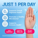 dr-berg-probiotic-supplement-60-billion--3.jpg