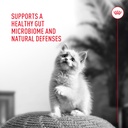 royal-canin-probiotics-for-cats-digestiv-6.jpg