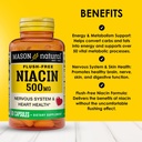 mason-natural-niacin-500-mg-flush-free-s-2.jpg
