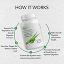 aloecure-organic-aloe-vera-digestion-set-3.jpg