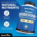 nutrivein-premium-berberine-liposomal-vi-4.jpg