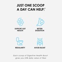bodi-digestive-health-boost-fiber-supple-4.jpg