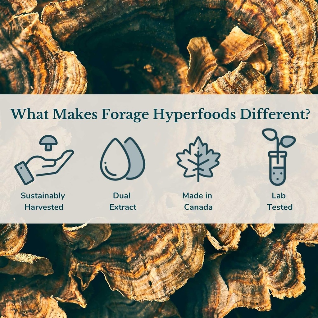 forage-hyperfoods--original-canadian-wil-6.jpg