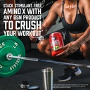 bsn-amino-x-muscle-recovery-endurance-po-6.jpg