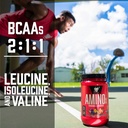 bsn-amino-x-muscle-recovery-endurance-po-5.jpg