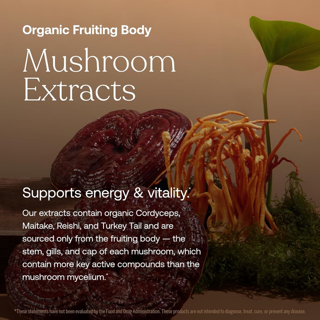 true-grace-one-daily-mens-multivitamin-f-4.jpg