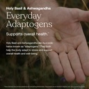 true-grace-one-daily-mens-multivitamin-f-5.jpg