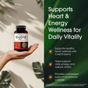naturebell-coq10-300mg-240-capsules-high-4.jpg