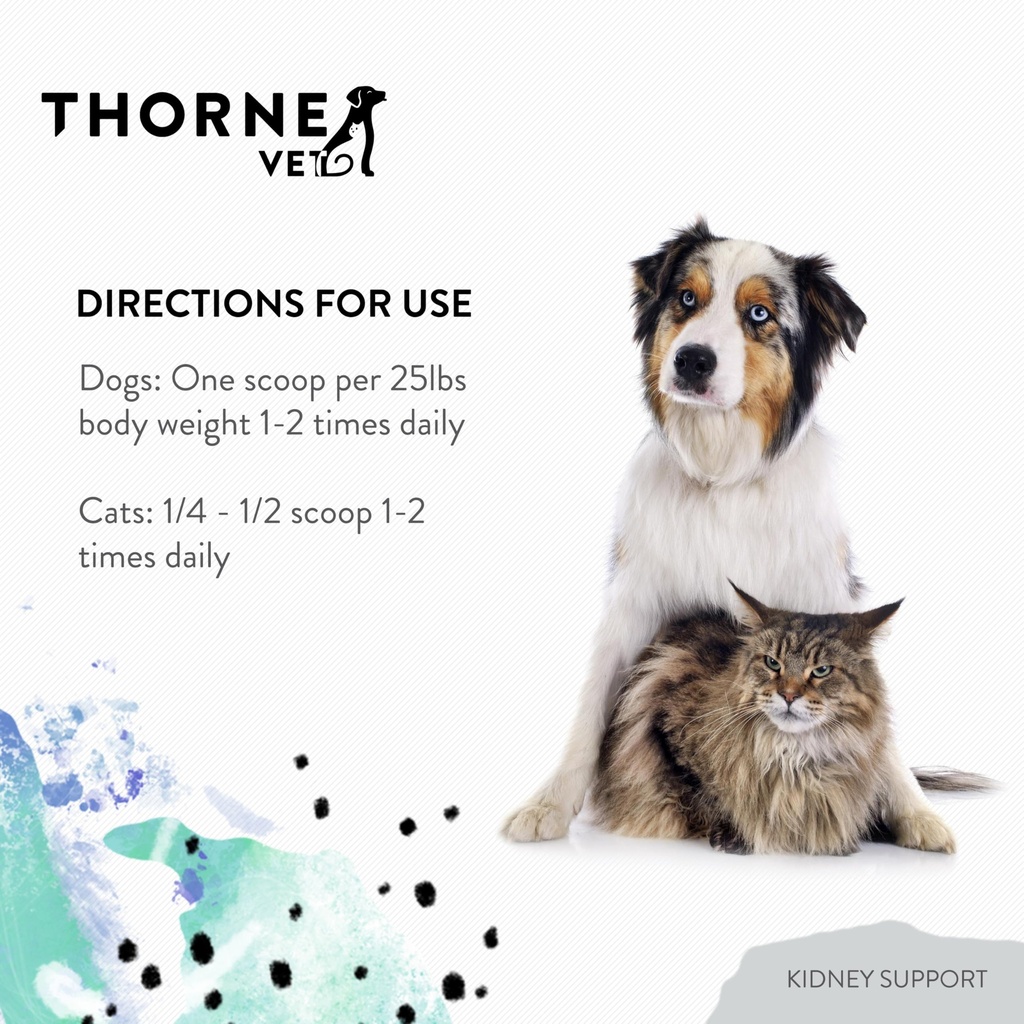 thornevet-kidney-support-for-dogs-cats-p-5.jpg