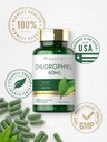 carlyle-chlorophyll-pills-90-capsules-na-5.jpg