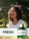 carlyle-chlorophyll-pills-90-capsules-na-6.jpg