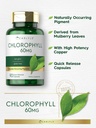 carlyle-chlorophyll-pills-90-capsules-na-3.jpg