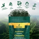 biogenesis-organic-chlorella-mini-tablet-3.jpg