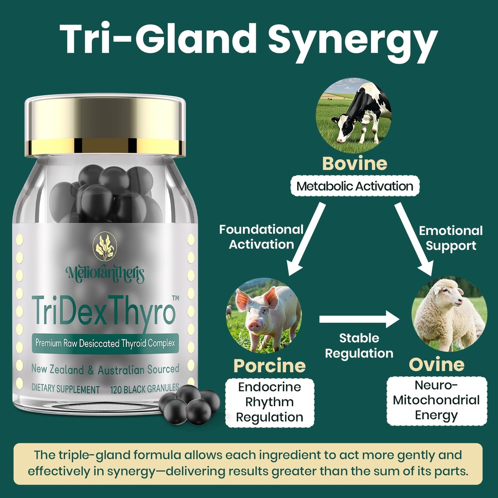 thyroid-supplement-tridexthyro-raw-desic-6.jpg