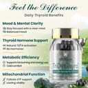 thyroid-supplement-tridexthyro-raw-desic-3.jpg
