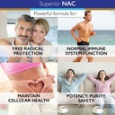 superior-labs-nac-n-acetyl-cysteine-1-20-5.jpg