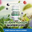 greens-superfood-powder-mixed-berry-8-mo-5.jpg