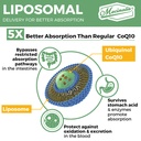 1000mg-liposomal-coq10-softgels-better-a-5.jpg