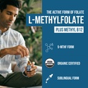 organic-methyl-folate-1000-mcg-methyl-b1-2.jpg