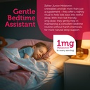 zahler-1mg-children-s-melatonin-for-kids-3.jpg