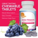 zahler-1mg-children-s-melatonin-for-kids-4.jpg