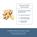 eclectic-herb-ginger-capsules-antioxidan-5.jpg