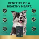 vetriscience-extra-strength-healthy-hear-6.jpg