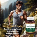 ashwagandha-capsules-450mg-60-count-herb-2.jpg