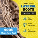 fiji-vanua-kava-premium-loloma-waka-kava-3.jpg