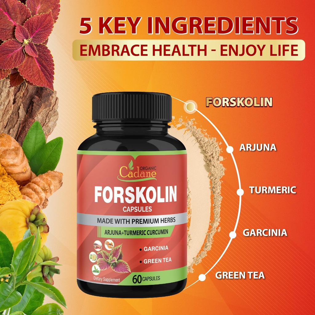cadane-2-packs-forskolin-supplements-cap-5.jpg