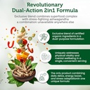 organic-superfood-greens-fruits-and-vegg-2.jpg
