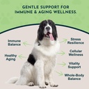 animal-essentials-longevity-reishi-mushr-3.jpg