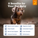zesty-paws-dog-multivitamin-chewable-dog-2.jpg