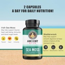 ancient-bliss-organic-irish-sea-moss-pil-3.jpg