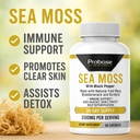 probase-nutrition-sea-moss-60-capsules-3-4.jpg