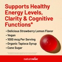 naturewise-vitamin-b12-gummies-for-adult-3.jpg