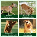 nmn-supplement-for-dogs-nad-booster-anti-3.jpg