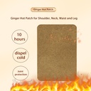 120pcs-ginger-patch-for-muscle-joint-rel-4.jpg
