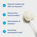 vital-proteins-collagen-peptides-for-wom-4.jpg