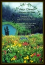 mo-maggie-topical-magnesium-cream-highes-5.jpg