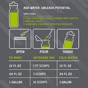 gatorade-endurance-formula-powder-lemon--6.jpg